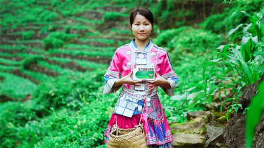 大山里这样一朵花，值得你来看