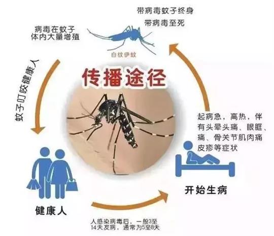 开学季，这些病进入高发期，老师和家长们要引起重视